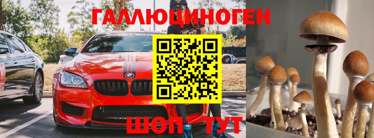 Псилоцибиновые грибы прущие грибы Чусовой