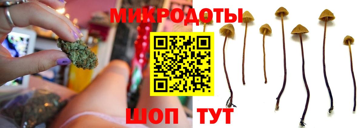 Галлюциногенные грибы мухоморы  Вход с VPN  Чусовой 